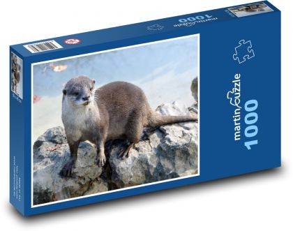 Otter - mammal, animal - Puzzle 1000 pieces, size 60x46 cm 