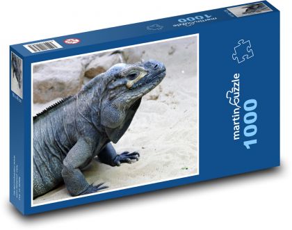 Iguana - jaszczurka, gad - Puzzle 1000 elementów, rozmiar 60x46 cm