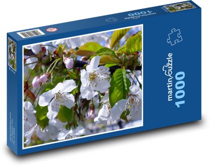 Jarný kvet - záhrada, strom - Puzzle 1000 dielikov, rozmer 60x46 cm