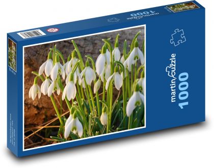 Sněženky - bílé květiny, jaro - Puzzle 1000 dílků, rozměr 60x46 cm