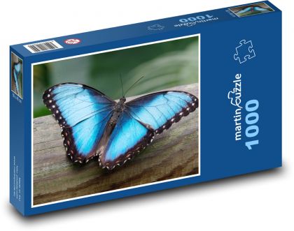 Morpho motýl - modrý motýl, hmyz - Puzzle 1000 dílků, rozměr 60x46 cm