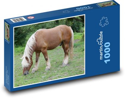Horse - pasture, animal - Puzzle 1000 pieces, size 60x46 cm 