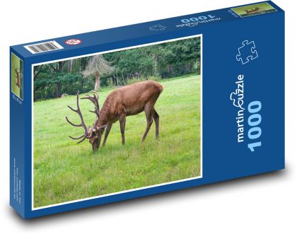 Jelen - park, louka - puzzle 1000 dílků