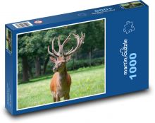 Hirsch - Tier, Säugetier Puzzle 1000 Teile - 60 x 46 cm