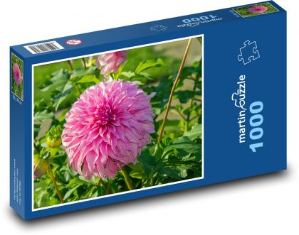 Jiřina - růžový květ, květina - Puzzle 1000 dílků, rozměr 60x46 cm