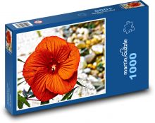 Červený ibišek - květ, zahrada Puzzle 1000 dílků - 60 x 46 cm