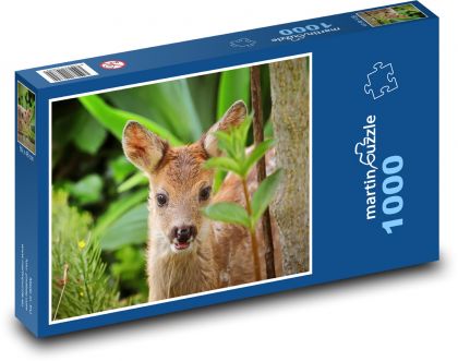 Kolouch - deer, cub - Puzzle 1000 pieces, size 60x46 cm 