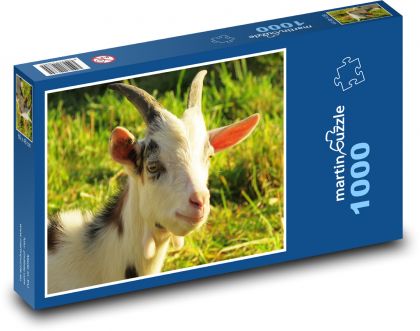 Goat - lamb, goat - Puzzle 1000 pieces, size 60x46 cm 