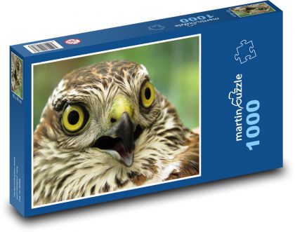 Krahujec - vták, dravec - Puzzle 1000 dielikov, rozmer 60x46 cm