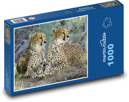 Gepard - divoká mačka, Afrika - Puzzle 1000 dielikov, rozmer 60x46 cm