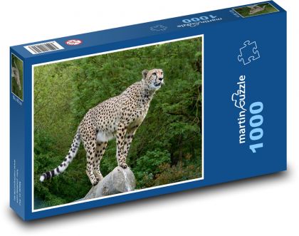 Gepard - savec, Afrika - Puzzle 1000 dílků, rozměr 60x46 cm
