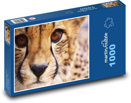 Cheetah - animal, mammal - Puzzle 1000 pieces, size 60x46 cm 