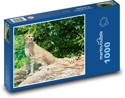 Gepard - zvíře, šelma - Puzzle 1000 dílků, rozměr 60x46 cm