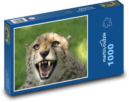 Gepard - kočka, Afrika - Puzzle 1000 dílků, rozměr 60x46 cm