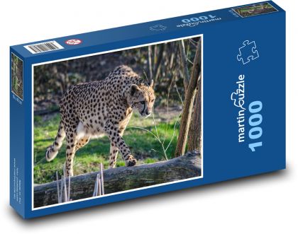 Gepard - Natur, Zoo - Puzzle - 1000 Teile