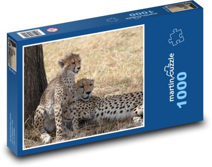 Gepardi - Safari, Afrika - Puzzle 1000 dílků, rozměr 60x46 cm