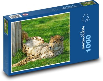 Gepard - šelma, zoo - Puzzle 1000 dílků, rozměr 60x46 cm