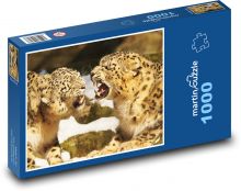Levharti - kočka, zoo Puzzle 1000 dílků - 60 x 46 cm