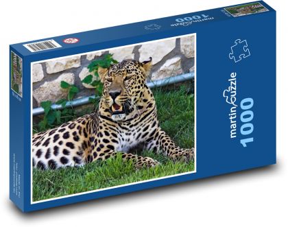 Levhart - kočkovitá šelma, zoo - Puzzle 1000 dílků, rozměr 60x46 cm
