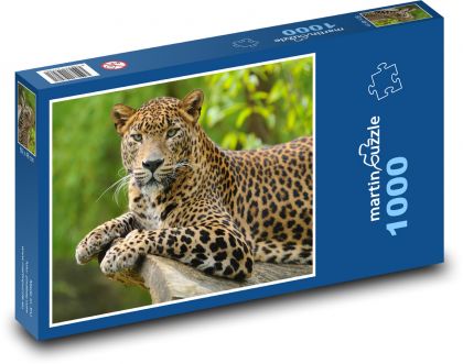 Lampart - kot, zwierzę - Puzzle 1000 elementów, rozmiar 60x46 cm