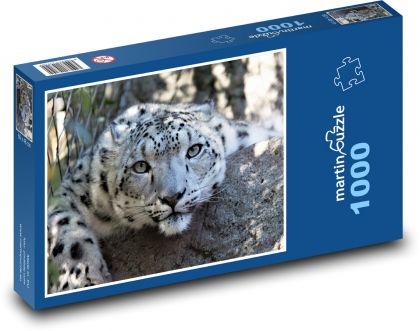 Leopard - big cat, beast - Puzzle 1000 pieces, size 60x46 cm 