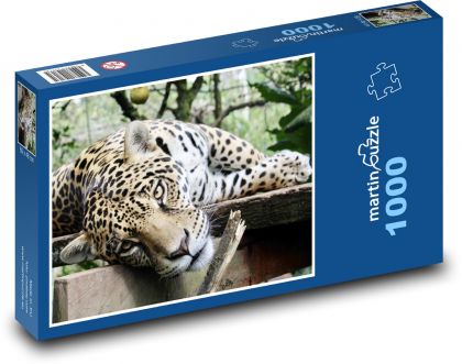 Jaguár - kočka, zvíře  - Puzzle 1000 dílků, rozměr 60x46 cm