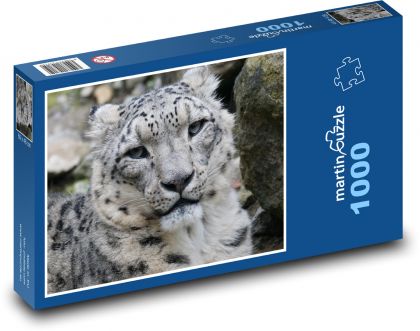 Leopard - wild beast, animal - Puzzle 1000 pieces, size 60x46 cm 