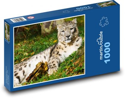Leopard - zvíře, kočka - Puzzle 1000 dílků, rozměr 60x46 cm