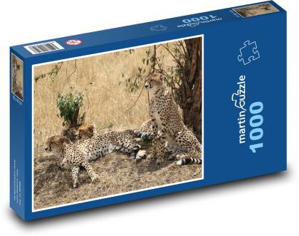 Gepard - savana, Safari - Puzzle 1000 dílků, rozměr 60x46 cm