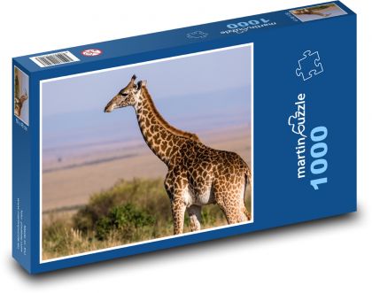 Žirafa - zvíře, savana - Puzzle 1000 dílků, rozměr 60x46 cm