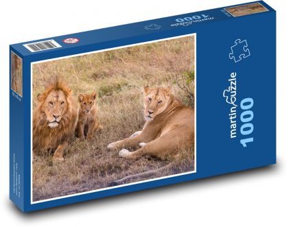 Lwy - rodzina, młode - Puzzle 1000 elementów, rozmiar 60x46 cm