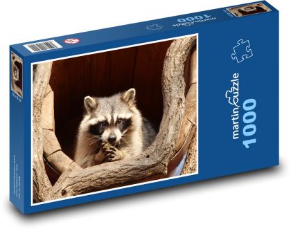 Mýval - savec, zvíře - puzzle 1000 dílků