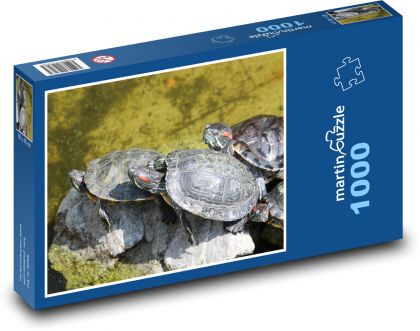 Želvy - plazy, zvířata - Puzzle 1000 dílků, rozměr 60x46 cm