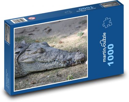 Krokodýl - zvíře, plaz - Puzzle 1000 dílků, rozměr 60x46 cm