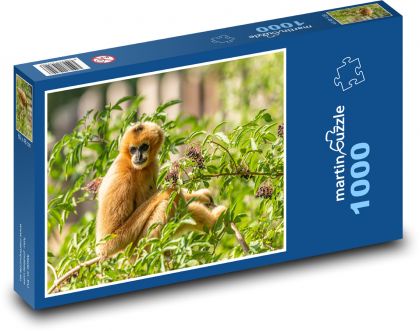 Gibon - opice, zoo - Puzzle 1000 dílků, rozměr 60x46 cm