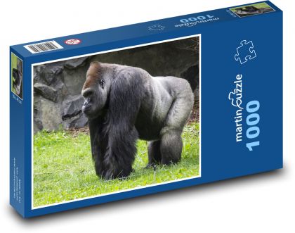 Gorilla - big monkey, animal - Puzzle 1000 pieces, size 60x46 cm 