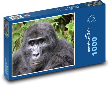 Gorila - Uganda, prales - Puzzle 1000 dílků, rozměr 60x46 cm