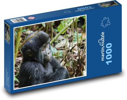 Gorila - najväčší primát - Puzzle 1000 dielikov, rozmer 60x46 cm