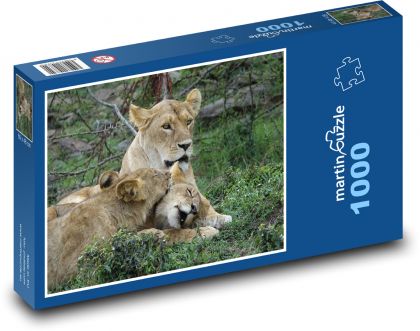 Lwy w Safaris, Kenia - Puzzle 1000 elementów, rozmiar 60x46 cm