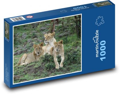 Löwin - Löwe, Katze - Puzzle - 1000 Teile