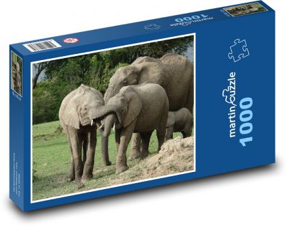 Elephant - animal, Kenya - Puzzle 1000 pieces, size 60x46 cm 