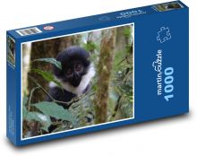Opice - příroda, Uganda Puzzle 1000 dílků - 60 x 46 cm