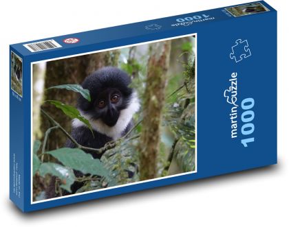 Opice - příroda, Uganda - Puzzle 1000 dílků, rozměr 60x46 cm