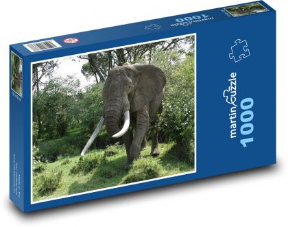 Slon - zviera, príroda - Puzzle 1000 dielikov, rozmer 60x46 cm