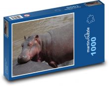 Hippopotamus - water, animal Puzzle 1000 pieces - 60 x 46 cm 