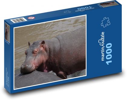 Hippopotamus - water, animal - Puzzle 1000 pieces, size 60x46 cm 