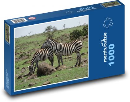Zebra - Safari, Natur - Puzzle - 1000 Teile