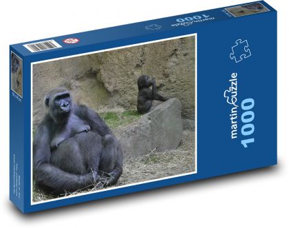 Gorilla - zoo, monkey - Puzzle 1000 pieces, size 60x46 cm 