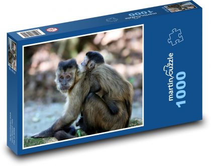 Opice - mládě, zvíře, zoo - Puzzle 1000 dílků, rozměr 60x46 cm