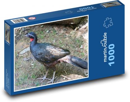 Guan - pták, zvíře - Puzzle 1000 dílků, rozměr 60x46 cm